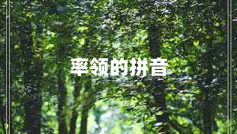 率領的拼音