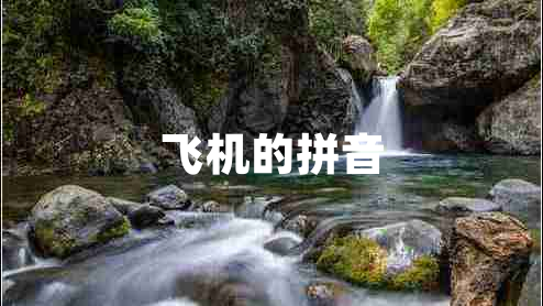 飛機(jī)的拼音
