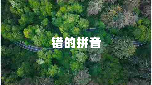 錯(cuò)的拼音