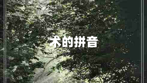 術的拼音
