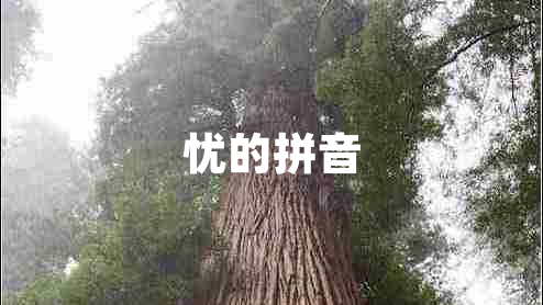 憂的拼音