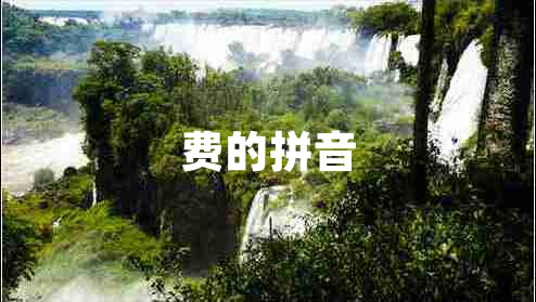 費(fèi)的拼音