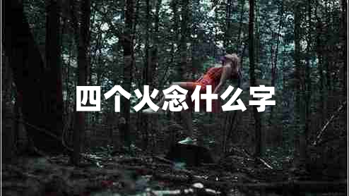 四個火念什么字
