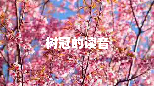 樹冠的讀音