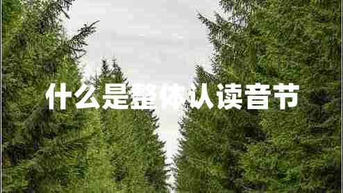 什么是整體認(rèn)讀音節(jié)