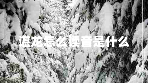 諶龍?jiān)趺醋x音是什么