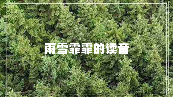 雨雪霏霏的讀音
