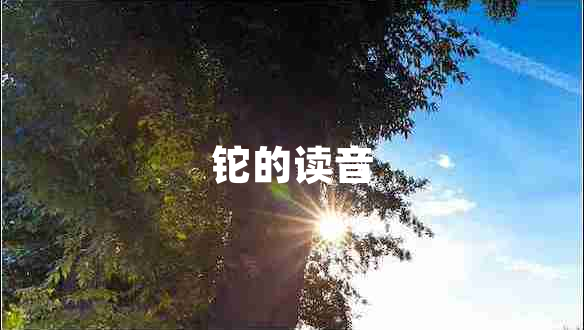 鉈的讀音 鉈的讀音