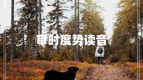審時(shí)度勢(shì)讀音