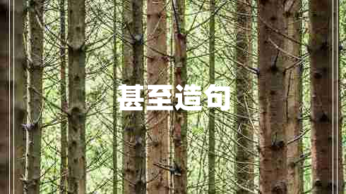 甚至造句 甚至造句