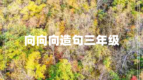 向向向造句三年級(jí)