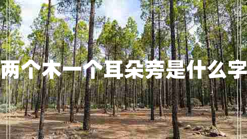 兩個木一個耳朵旁是什么字