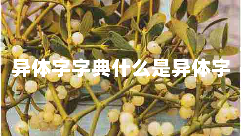 異體字字典什么是異體字