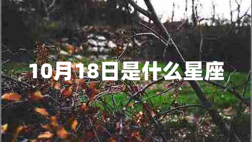 10月18日是什么星座