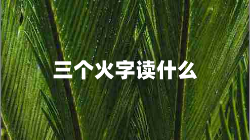 三個火字讀什么