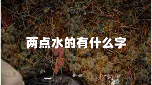 兩點水的有什么字