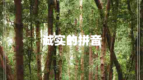 誠實的拼音