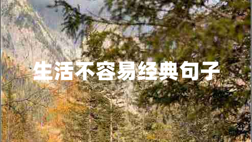 生活不容易經典句子 生活不容易經典句子