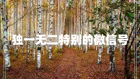 獨(dú)一無(wú)二特別的微信號(hào) 獨(dú)一無(wú)二特別的微信號(hào)