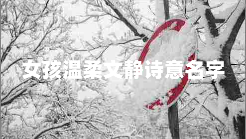女孩溫柔文靜詩意名字
