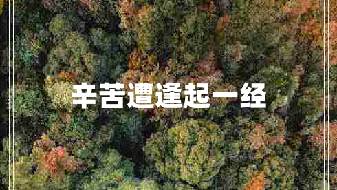 辛苦遭逢起一經(jīng) 辛苦遭逢起一經(jīng)