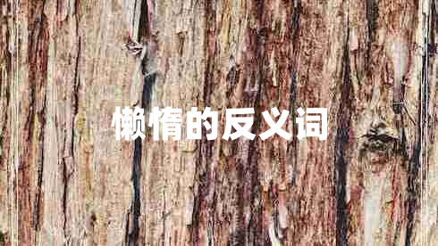 懶惰的反義詞