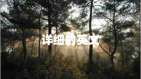 詳細(xì)的英文 詳細(xì)的英文