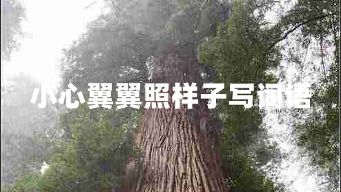 小心翼翼照樣子寫詞語(yǔ)