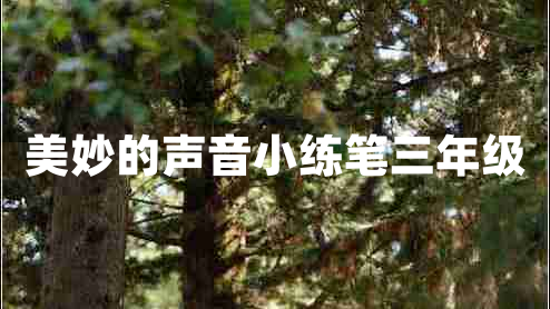 美妙的聲音小練筆三年級(jí)