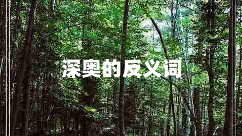 深?yuàn)W的反義詞