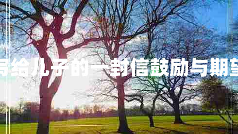 寫給兒子的一封信鼓勵(lì)與期望
