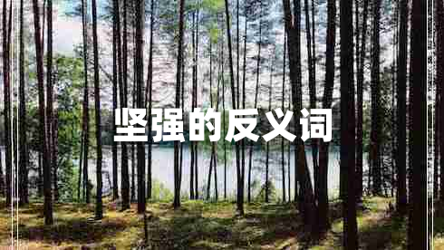 堅(jiān)強(qiáng)的反義詞 堅(jiān)強(qiáng)的反義詞