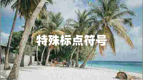特殊標(biāo)點(diǎn)符號
