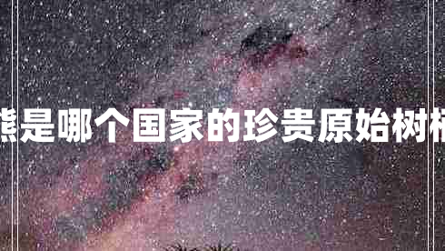 樹袋熊是哪個(gè)國家的珍貴原始樹棲動(dòng)物