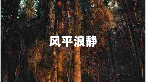 風平浪靜