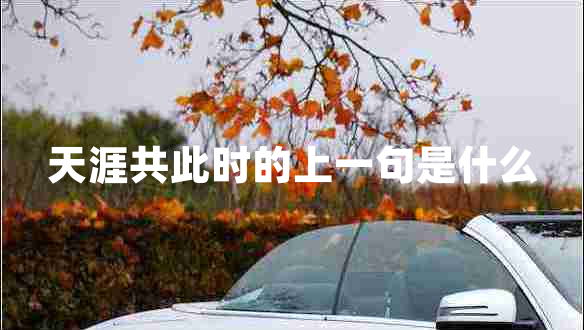 天涯共此時的上一句是什么