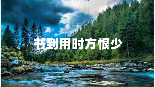 書到用時方恨少