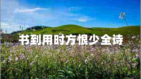 書到用時(shí)方恨少全詩(shī)