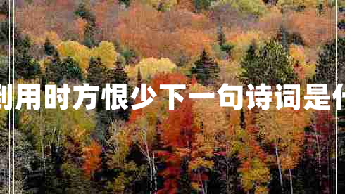 書到用時(shí)方恨少下一句詩詞是什么