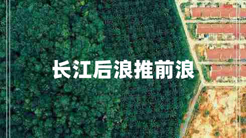 長(zhǎng)江后浪推前浪