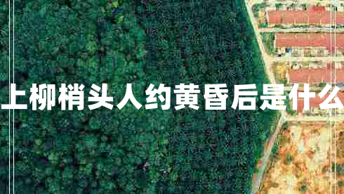 月上柳梢頭人約黃昏后是什么節(jié) 月上柳梢頭人約黃昏后是什么節(jié)