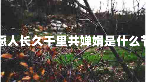 但愿人長(zhǎng)久千里共嬋娟是什么節(jié)日 但愿人長(zhǎng)久千里共嬋娟是什么節(jié)日