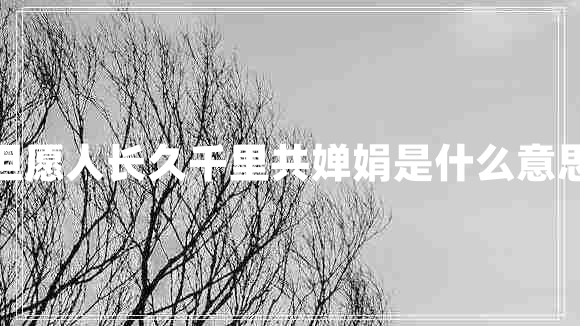 但愿人長久千里共嬋娟是什么意思