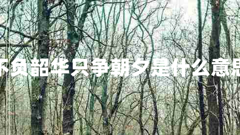 不負(fù)韶華只爭朝夕是什么意思