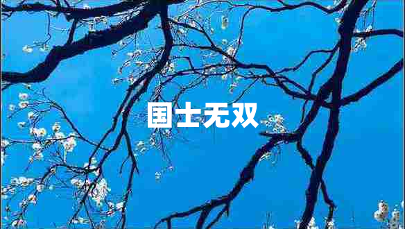 國(guó)士無(wú)雙