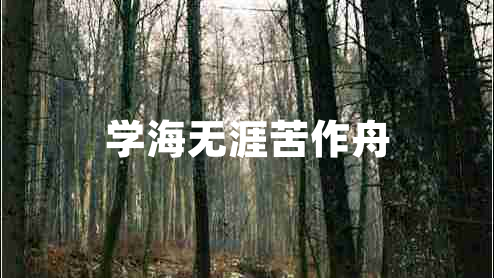 學(xué)海無涯苦作舟