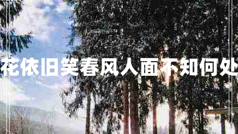 人面不知何處去桃花依舊笑春風人面不知何處去桃花依舊笑春風