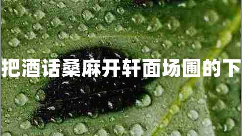 開軒面場(chǎng)圃把酒話桑麻開軒面場(chǎng)圃的下一句是什么