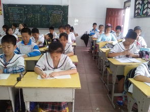 圍繞美麗校園為主題的作文