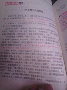 關(guān)于校園的作文300個字左右